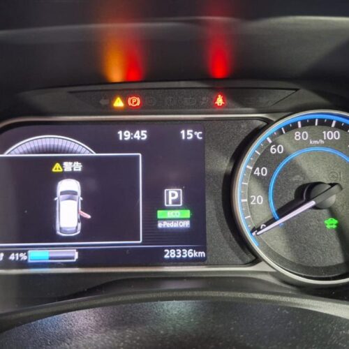 Nissan Leaf  2019