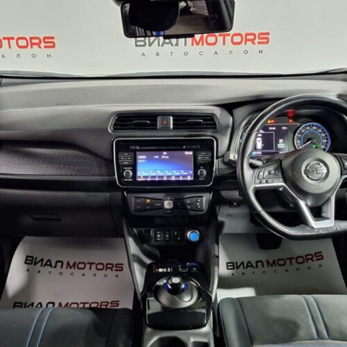 Nissan Leaf  2019