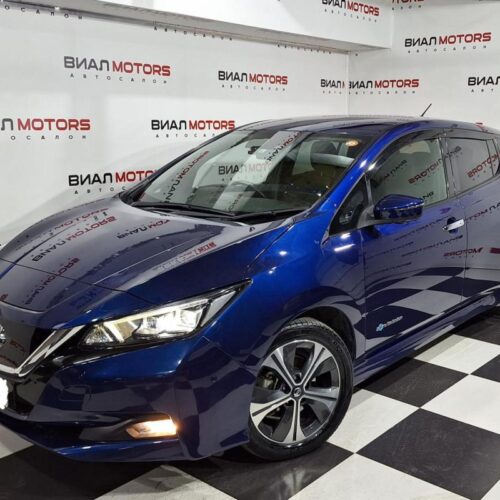 Nissan Leaf  2019