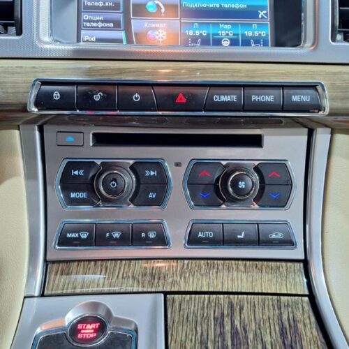 Jaguar   2014