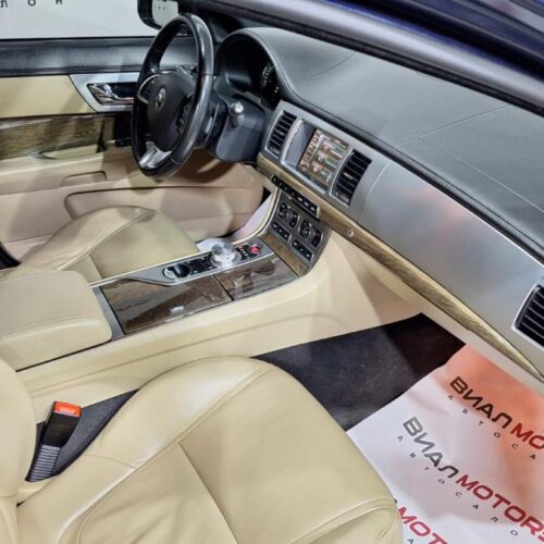 Jaguar   2014