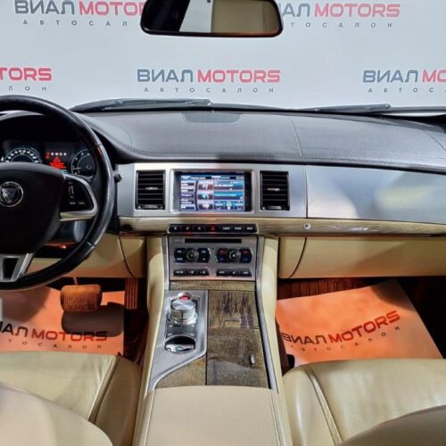 Jaguar   2014