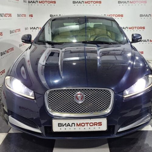 Jaguar   2014