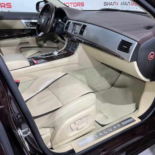 Jaguar   2013