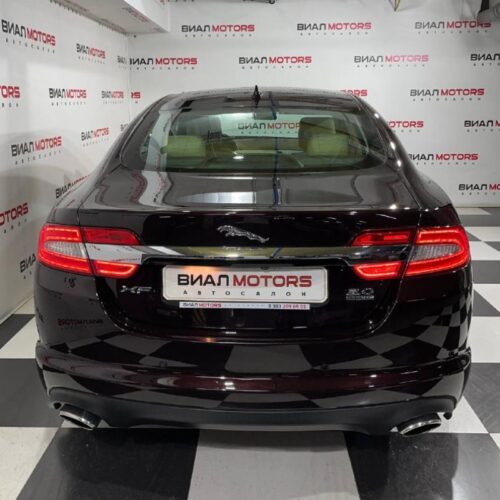 Jaguar   2013