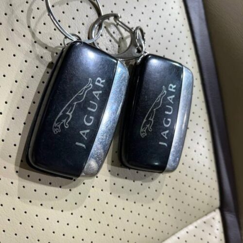 Jaguar   2013